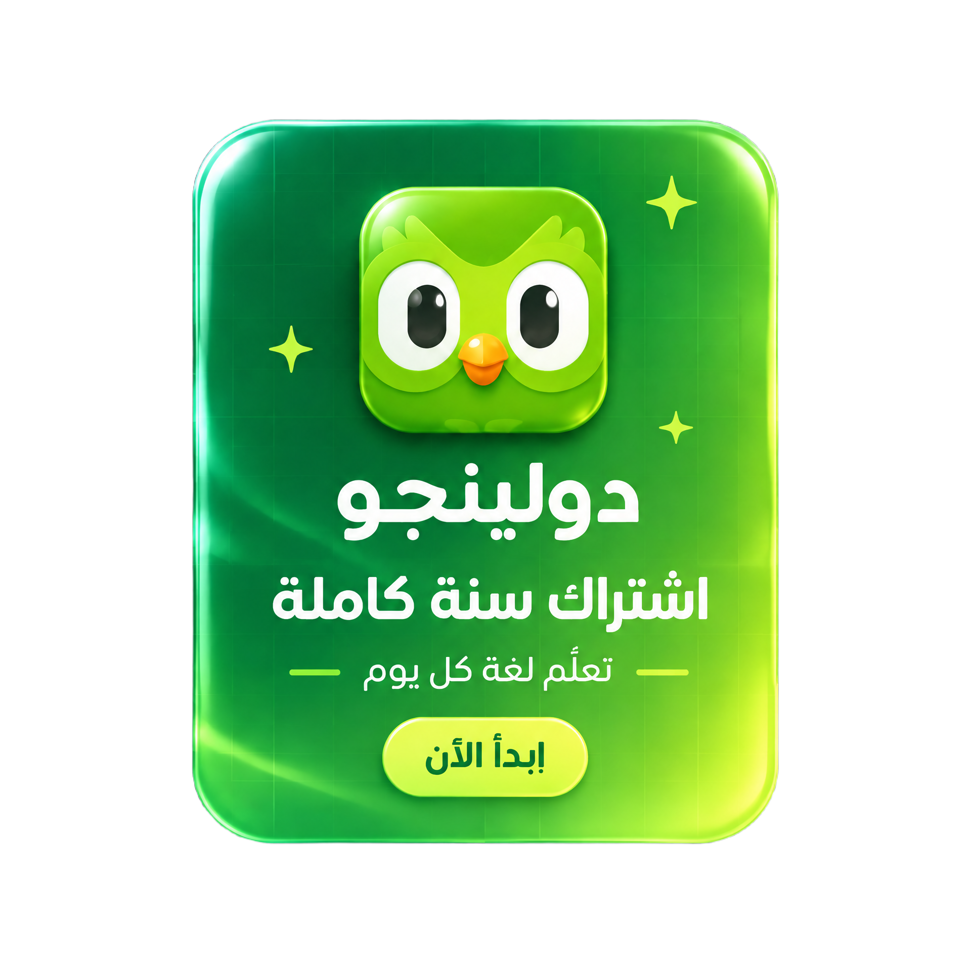 Duolingo Super — سنة كاملة